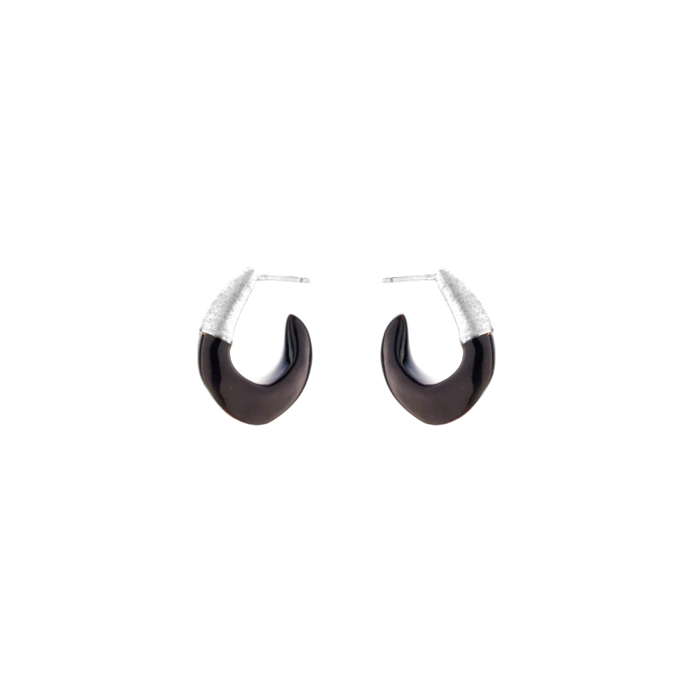 The Enamel Hook Earrings